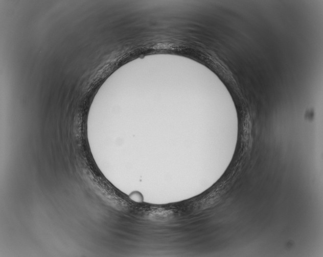 X0000115300257200911301520