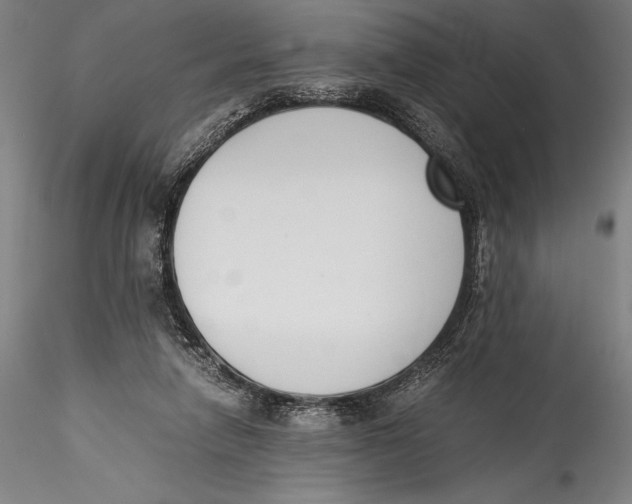 X0000115300258200911301520