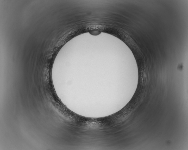 X0000115300259200911301520