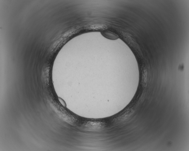 X0000115300260200911301520