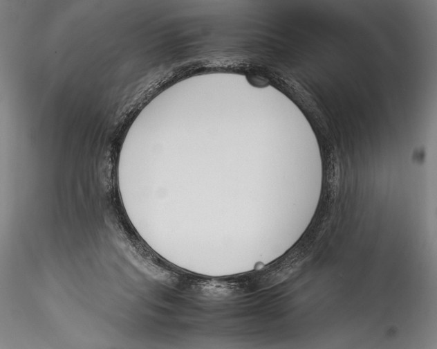 X0000115300261200911301520