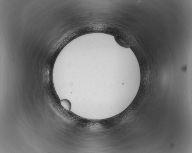 X0000115300262200911301520