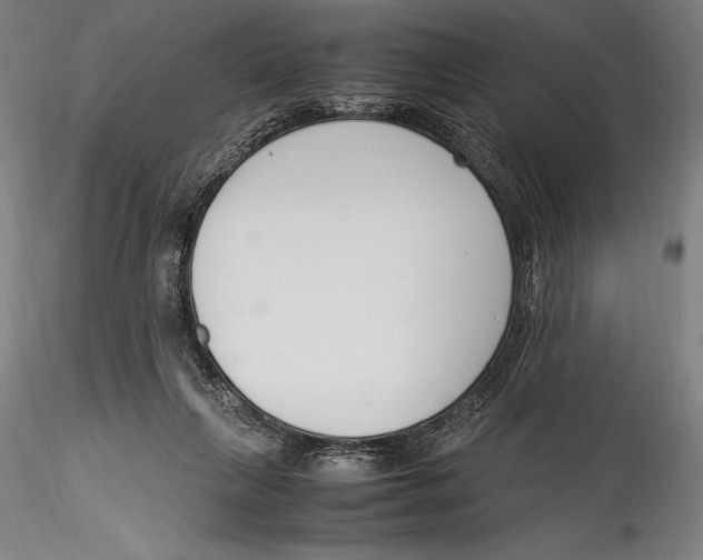 X0000115300263200911301520