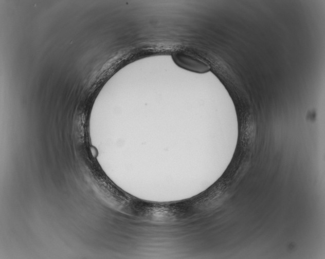 X0000115300264200911301520