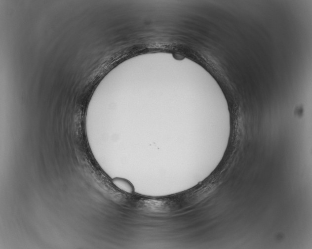 X0000115300265200911301520