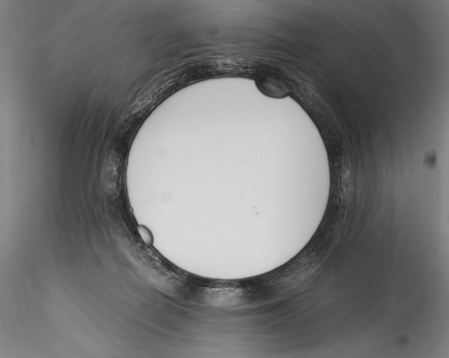 X0000115300266200911301520