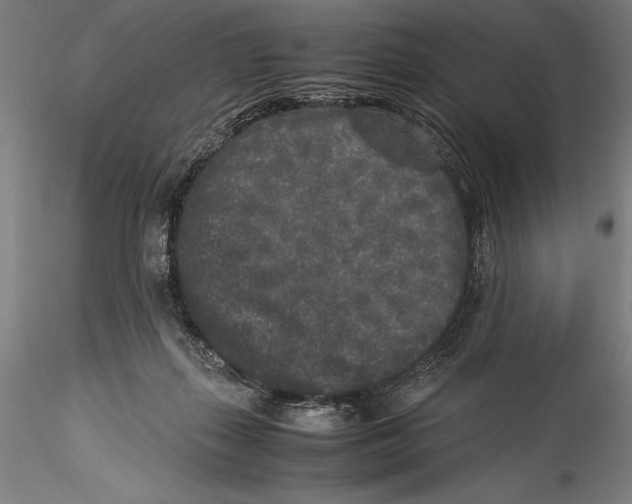 X0000115300267200911301520