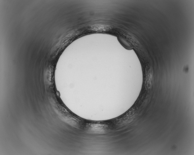 X0000115300268200911301520