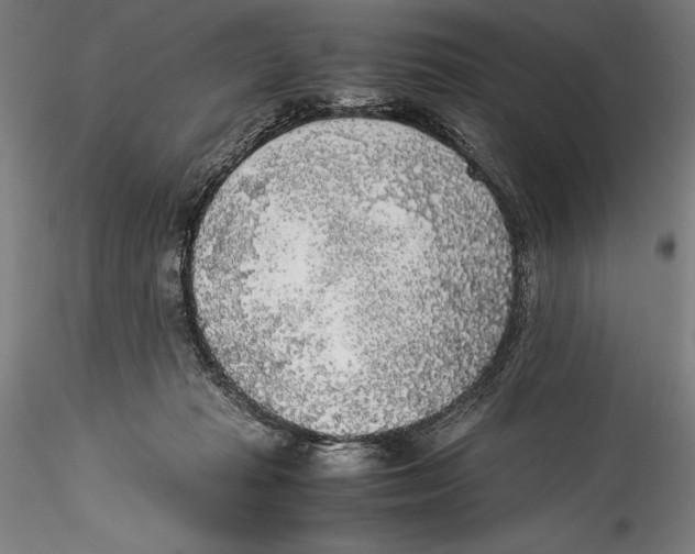 X0000115300269200911301520