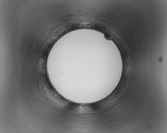 X0000115300270200911301520