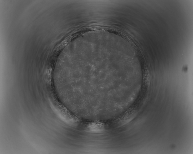 X0000115300271200911301520