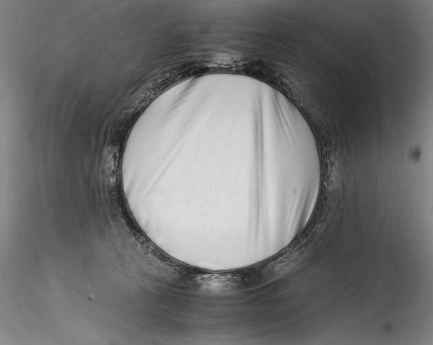 X0000115300273200911301520