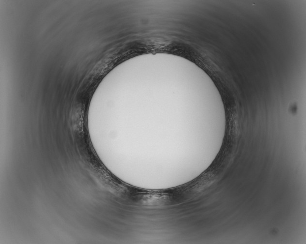 X0000115300274200911301520