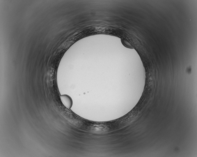 X0000115300275200911301520