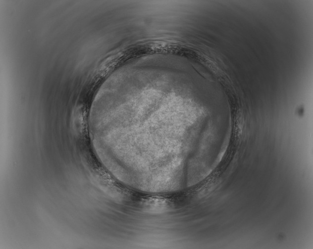 X0000115300276200911301520