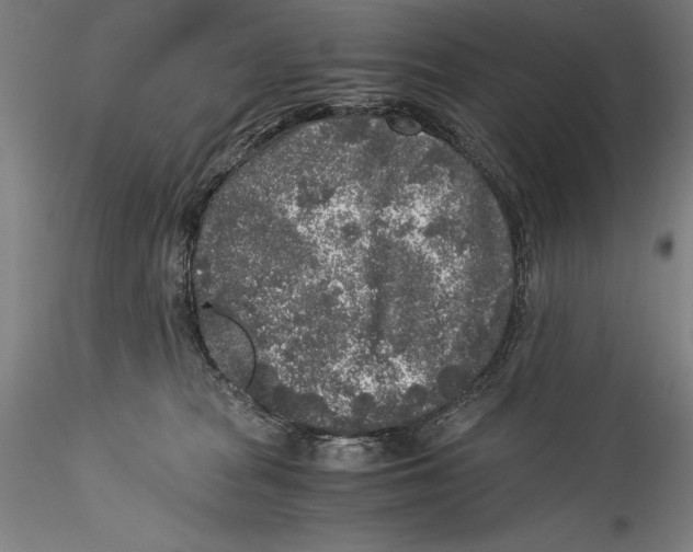 X0000115300277200911301520