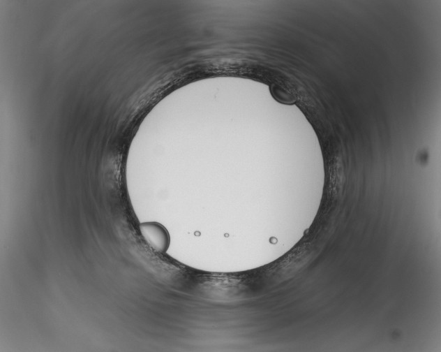 X0000115300278200911301520