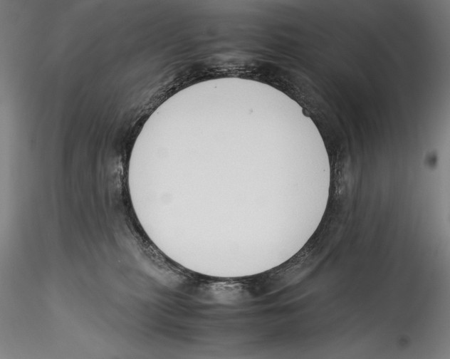 X0000115300279200911301520