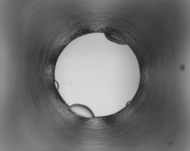 X0000115300280200911301520