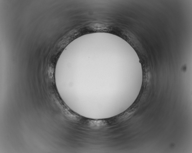 X0000115300281200911301520