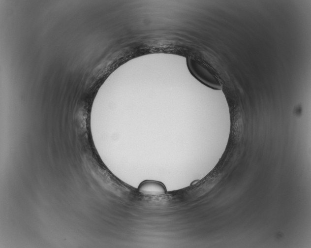 X0000115300282200911301520