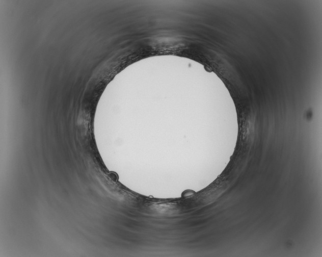 X0000115300283200911301520