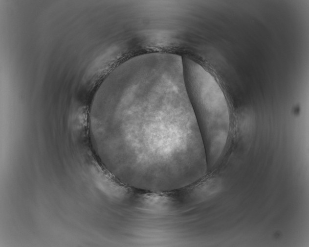 X0000115300284200911301520