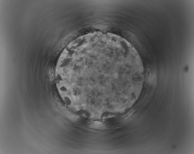 X0000115300285200911301520