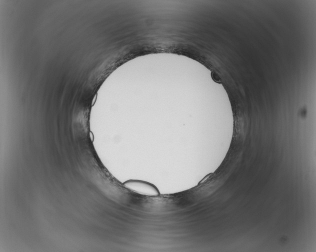 X0000115300286200911301520