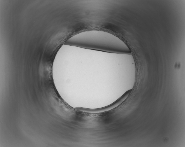 X0000115300288200911301520