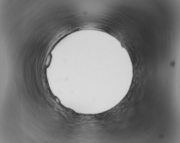 X0000115300289200911301519