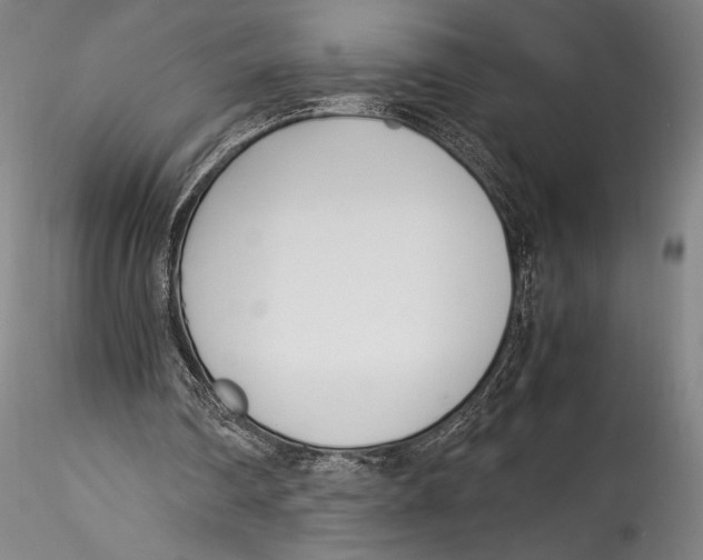 X0000115300290200911301519