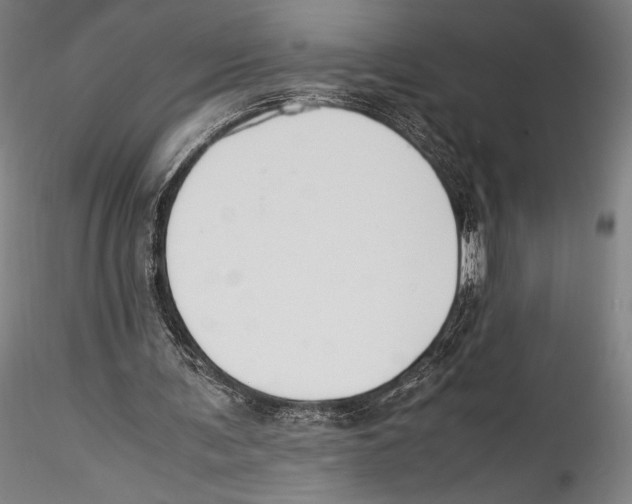 X0000115300291200911301519