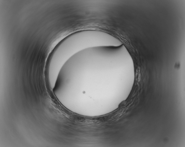 X0000115300292200911301519