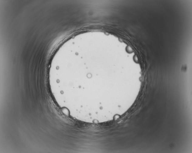 X0000115300293200911301519