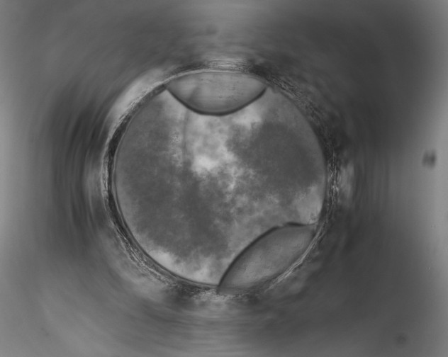 X0000115300294200911301519