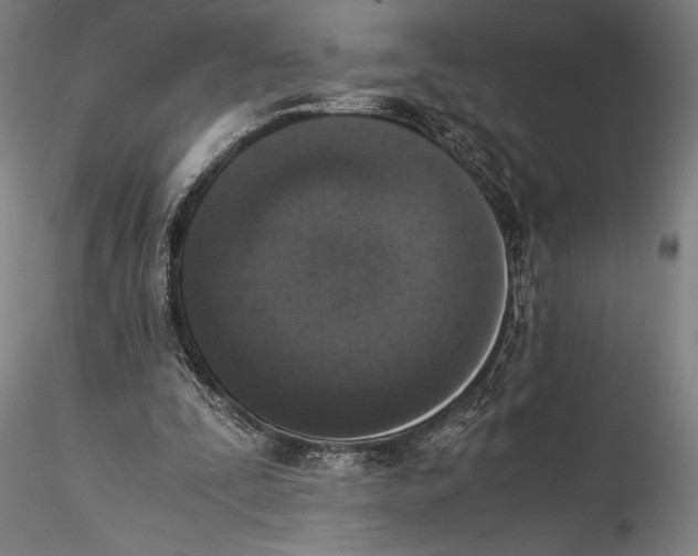 X0000115300295200911301519