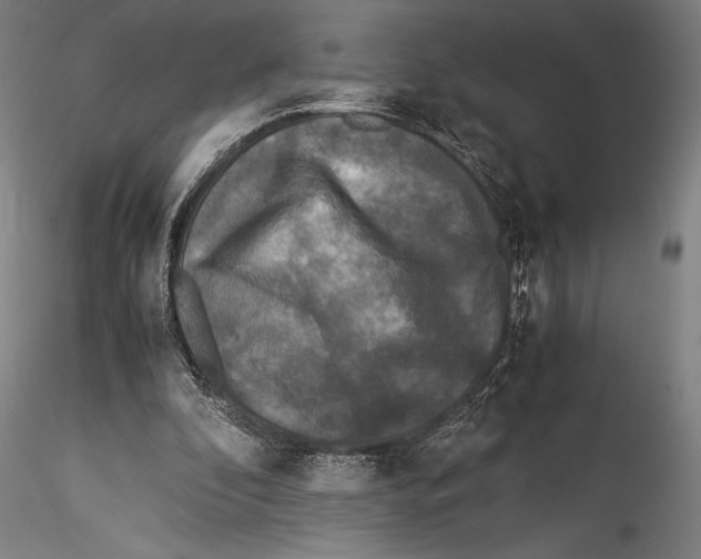 X0000115300296200911301519