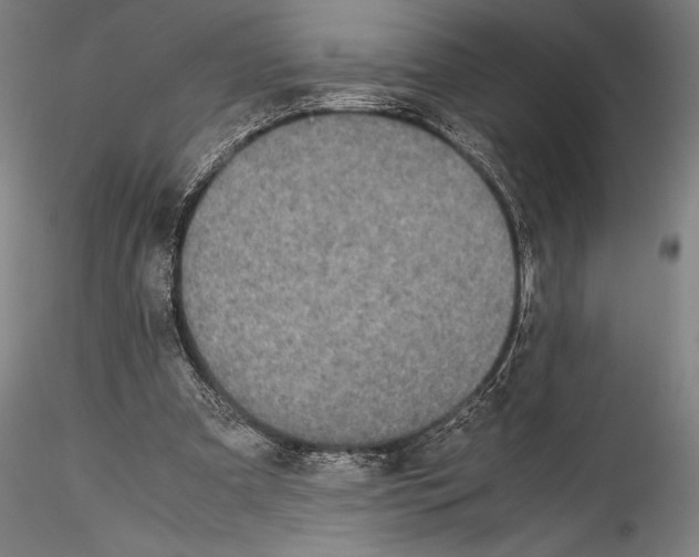 X0000115300297200911301519