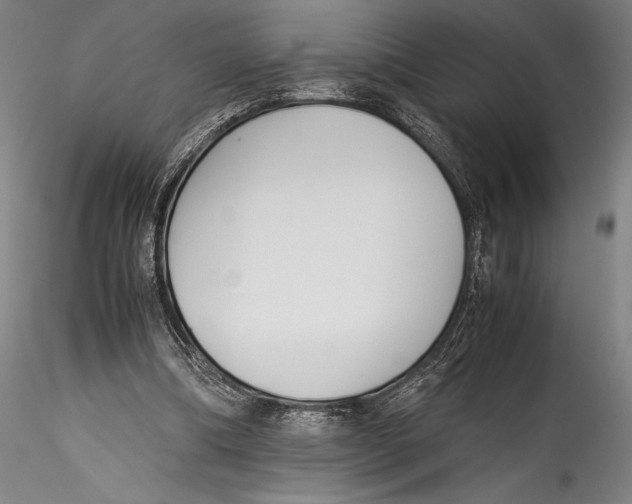 X0000115300298200911301519