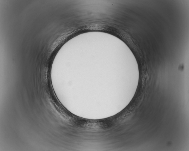 X0000115300299200911301519