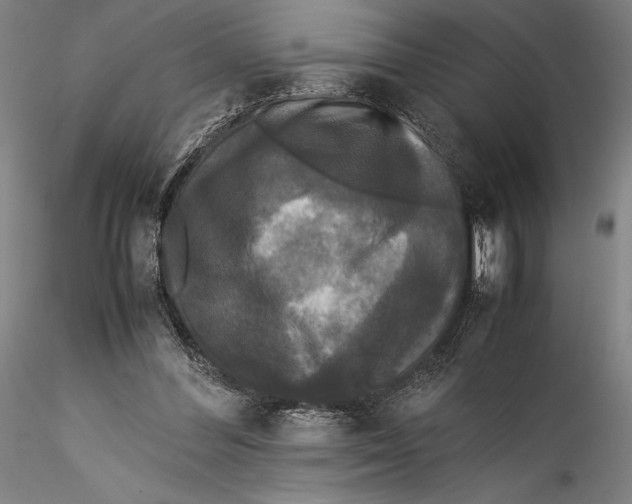 X0000115300300200911301519