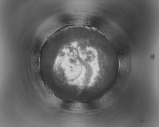 X0000115300301200911301519