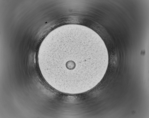 X0000115300302200911301519