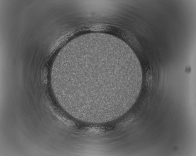 X0000115300303200911301519