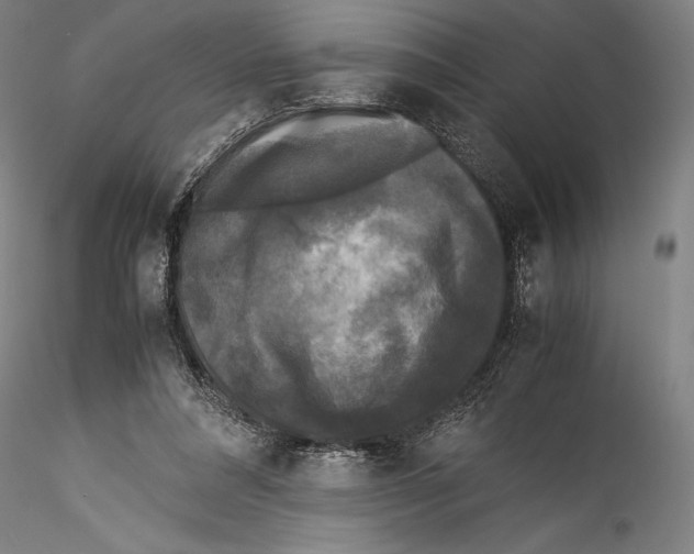 X0000115300304200911301519