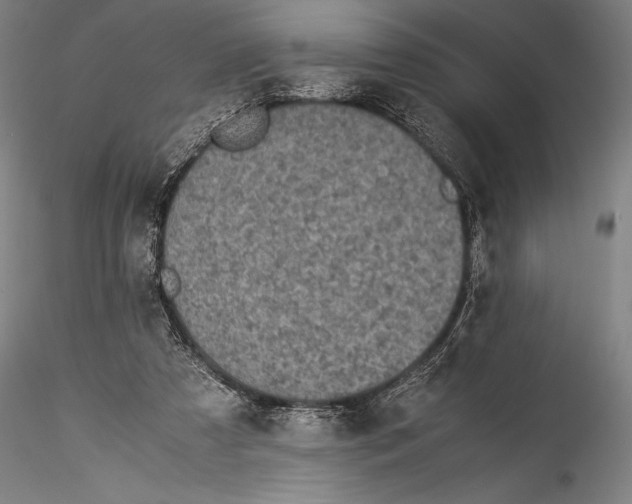 X0000115300305200911301519