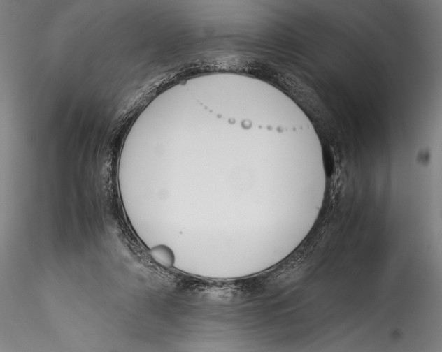 X0000115300306200911301519