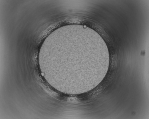 X0000115300309200911301519