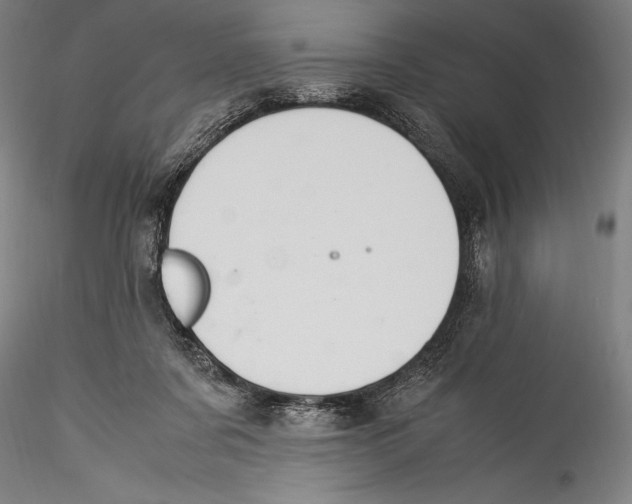 X0000115300311200911301519